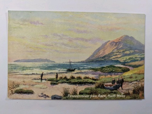 Tucks oilette postcard 1920s - postcard,