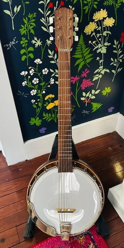 1960s era banjitar string - 1960s,