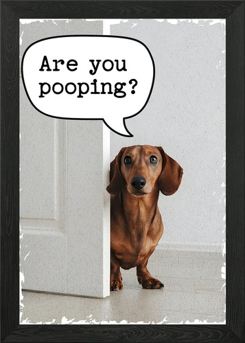Are you pooping - are,