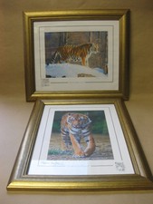 Stephen Gayford ~ 2 Ltd Ed. Framed Prints ~ Tigers ~ Jungle Gentleman, Sudden...