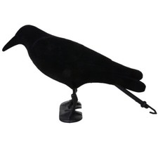 Flocked Crow Decoy Full Body