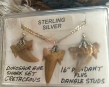 Sterling Silver Shark Tooth Necklace Chain And Earrings 