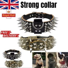 2cm Wide Spiked Studded