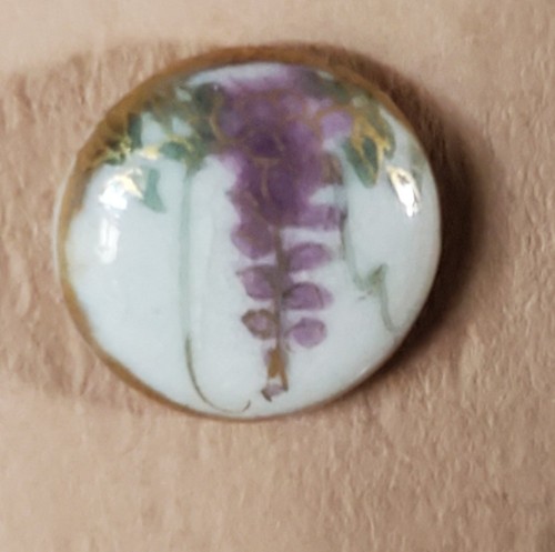Satsuma wisteria old - bb,