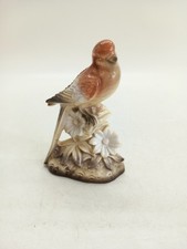 Parakeet Budgerigar Ceramic