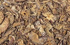 1kg Mawa Cut Roasted Betel Nut (Sopari)