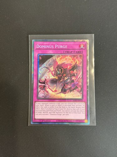 Dominus purge collectors - dominus,