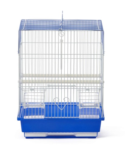 Pet products flat top - products, economy