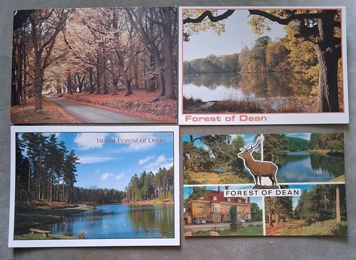 Postcards forest dean - forest, of