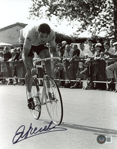Eddy merckx signed - merckx, 8x10