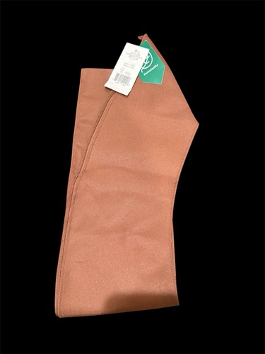 Nwt official brownie sash girl - nwt,
