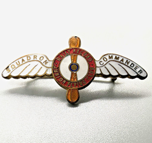 Vintage pin badge daily record - pin,