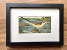 Eric Fitch Daglish - Framed & Glazed - Yellow Wagtail - Vintage 1940’s