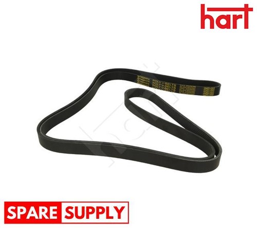 Ribbed belt for - v-ribbed,