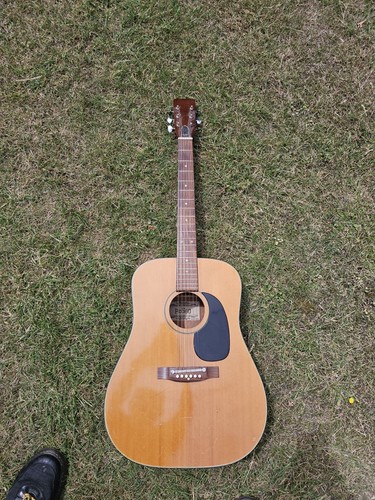 Rodeo dreadnought mid - b.m,