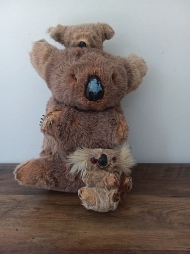 Three vintage koala - three, bear