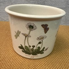 Portmeirion Botanic Garden Plant Pot Holder - Susan William’s Ellis Design - 7”