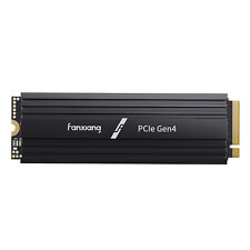 Fanxiang M.2 NVMe 2TB SSD Heat