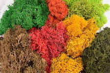 WWscenics Lichen Moss Foliage