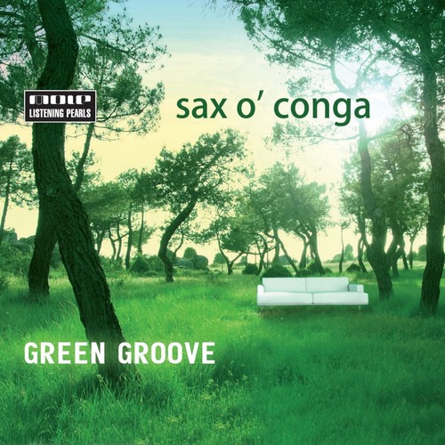 Sax conga green groove - conga,