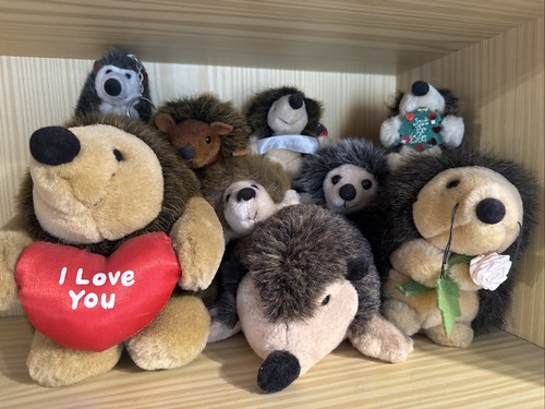 Collection hedgehog soft - of,
