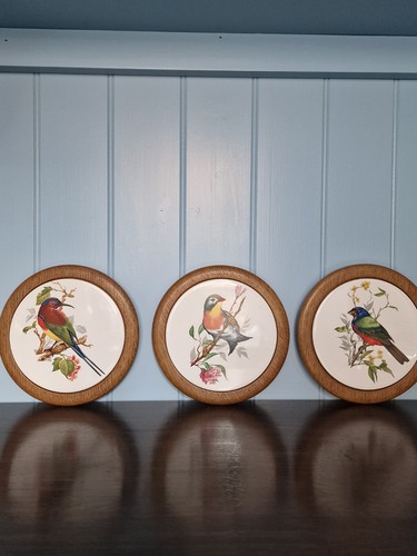 Vintage framed bird ceramic - bird,