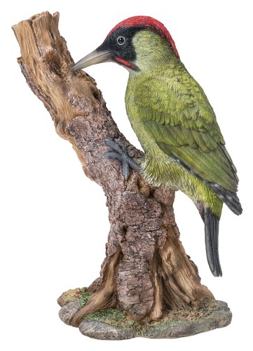 Green woodpecker bird - woodpecker,