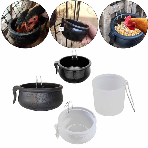 Gamefowl feeder bird - gamefowl,