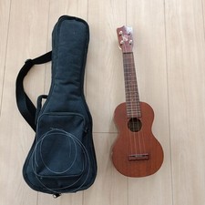 LUNA ukulele body strings case