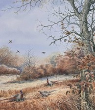 Contemporary Watercolour