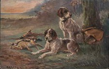 Hunting Dogs Dead Pheasants &
