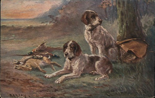 Hunting dogs dead pheasants - hunting,