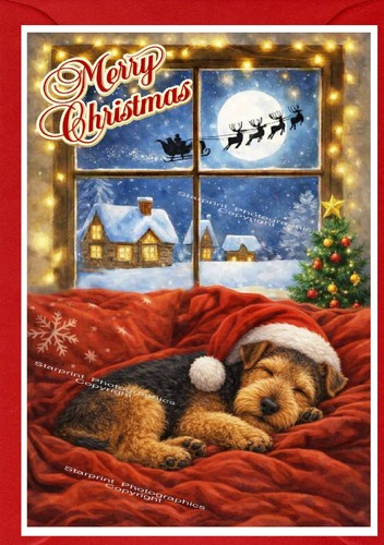 Welsh terrier dog - a6, (4"