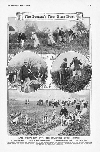 Culmstock otter hounds the - hounds,