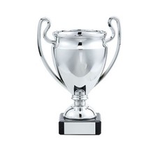 Silver Trophy Cup - FREE ENGRAVING - All Sports Awards , Competition Awards