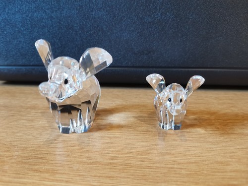 Swarovski crystal pair - crystal,