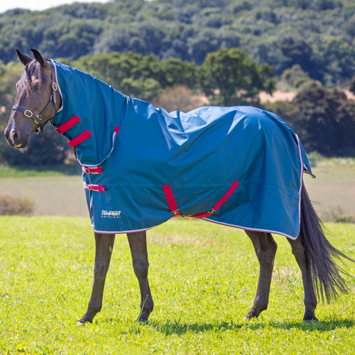 Shires tempest original lite - tempest,