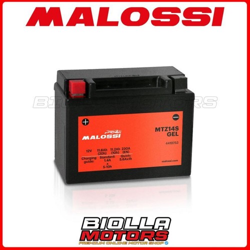 Mtz14s malossi gel triumph - malossi,