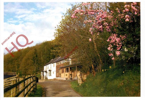 Picture postcard presteigne - picture, postcard:-presteigne
