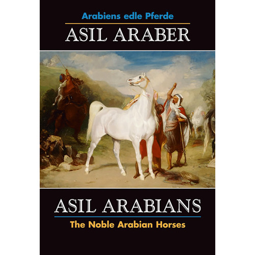 Asil araber - araber, vi