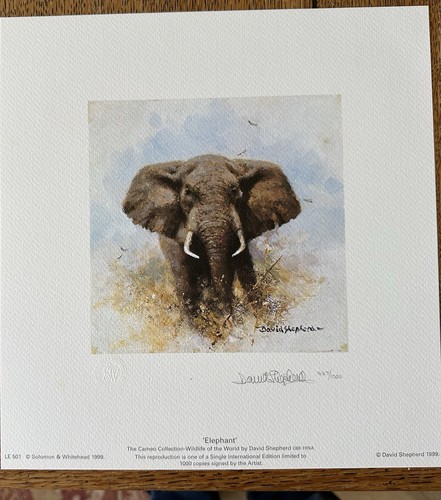 Elephant the cameo - elephant,