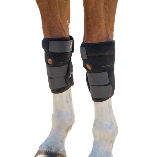 Arma hot cold horse relief - arma,