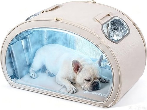 Pecute cat cooling - cat, house,