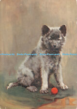 R383145 The Keeshond Dog No 14 of a series of 30 cards De Reszke Cigarettes Godf