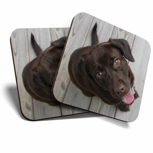 Coasters chocolate - coasters,