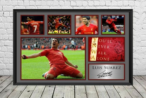 Luis suarez liverpool - luis, fc