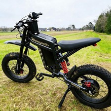Electric Bike for Adults 60V