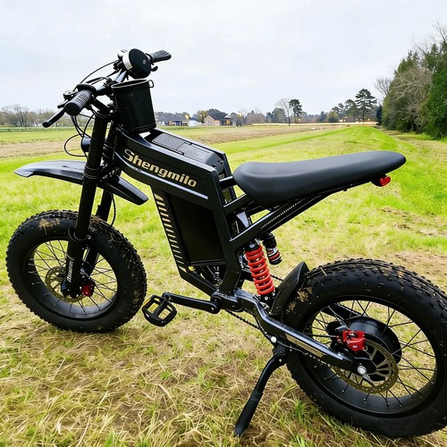 Electric bike for adults - electric,