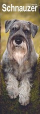 Schnauzer Slim Calendar 2026