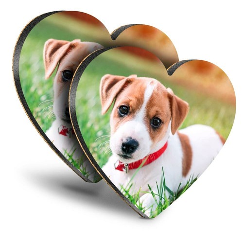 Heart mdf coasters jack - 2x,